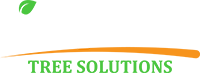 Impact Tree Solutions Logo